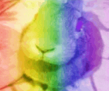 a rainbow colored background with a blurred image of a person 's face