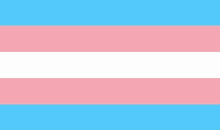 a transgender flag with a blue , pink , and white stripe on a white background .