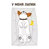 an illustration of a dog laying on its back with a yellow rubber duck next to it and the words " у меня лапки " above it