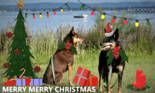 a christmas card with two dogs and a christmas tree