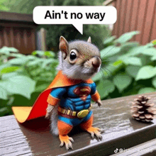 a squirrel is dressed in a superman costume and has a speech bubble saying ain 't no way