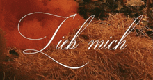 a picture of a pile of hay with the words lieb mich written on it