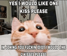 a cat is laying on a bed with a caption that says yes i would like one kiss please