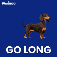 an illustration of a dachshund with the words go long underneath