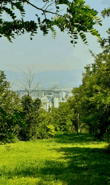 a view of a city through the trees with a few buildings in the distance