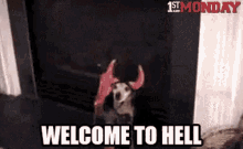 a dog wearing devil horns is standing in a room with the words `` welcome to hell '' .