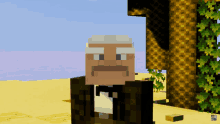 a man with gray hair and a mustache in a minecraft game