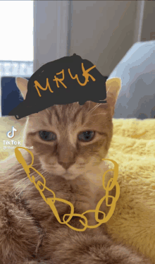 a cat wearing a hat that says mr uk