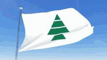 a white flag with green triangles on it