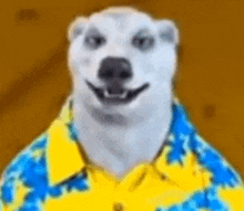 a polar bear wearing a yellow and blue shirt and smiling .