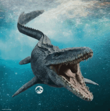 a large crocodile is swimming in the ocean with its mouth wide open