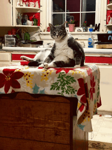 a cat sits on a table with a floral blanket and a bottle of dish soap in the background