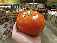 a person holds a large tomato in front of a sign that says fresh at its best