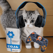 a cat wearing headphones stands next to a game controller