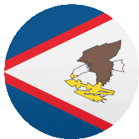 a round flag with an eagle on it and a lightning bolt