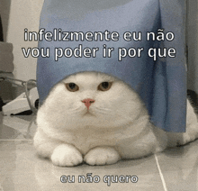 a white cat wearing a blue hat with the words " infelizmente eu não vou poder ir por que eu não quero " below it