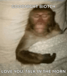 a monkey laying on a bed with the words goodnight biotch love you talk in the morn below it