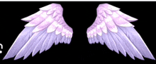 a pair of purple angel wings on a black background