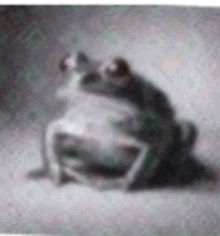 a frog is sitting on the ground in a blurry picture .