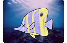 a purple and yellow fish with a black spot on it