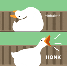 a cartoon of a duck with the word honk below it