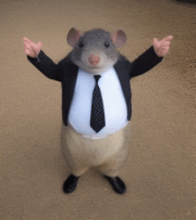 a rat wearing a suit and tie is standing on a carpet