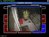 a computer screen shows a camera archive with a potted plant in the middle