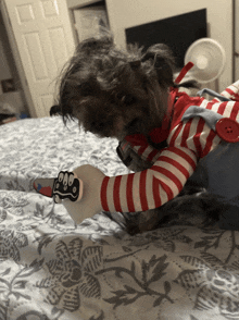 a small dog in a clown costume is laying on a bed holding a toy