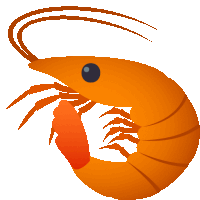 an orange shrimp with a black eye and a red tail