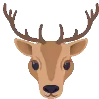 a deer 's head with antlers and a black nose