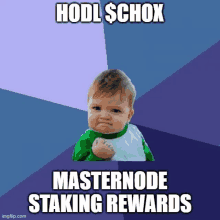 a baby with a fist in the air and the words hodl schox masternode staking rewards