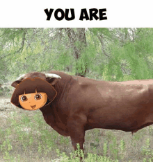 a picture of a bull with dora the explorer on it 's head