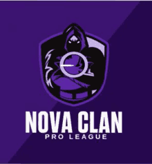 a logo for a gaming team called nova clan pro league