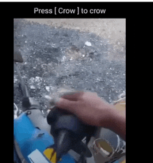 a person is holding a crow in their hand with the words press [ crow ] to crow below them