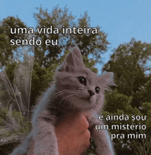 a person is holding a cat in their hand with a caption that says uma vida inteira sendo eu