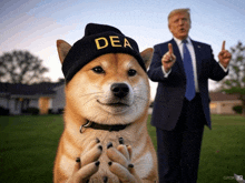 a dog wearing a beanie that says dea stands in front of donald trump