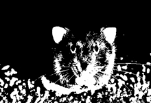 a black and white drawing of a cat with a black background