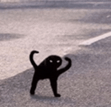 a silhouette of a black cat walking on a street .