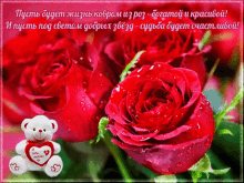 a greeting card with red roses and a teddy bear