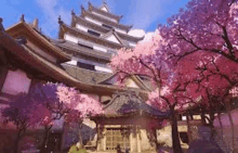 there is a castle in the background with cherry blossom trees in front of it .