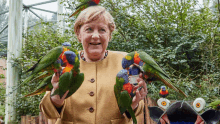 a woman in a tan jacket is surrounded by colorful parrots and a pirate hat