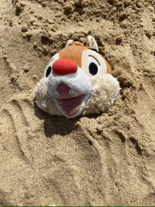 a stuffed chipmunk is buried in the sand on a beach