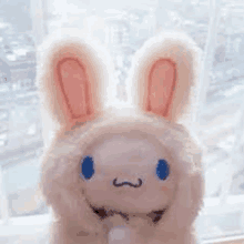 a stuffed bunny is sitting in front of a window wearing a bunny costume .