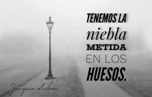 a black and white photo of a street light with the words tenemos la niebla metida en los huesos above it