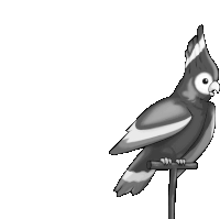 a black and white drawing of a cockatiel perched on a branch