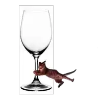 a cat climbs up a wine glass with its paws