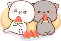 two cats are sitting next to each other and eating watermelon slices .