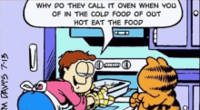 a cartoon of garfield talking to a woman about why they call it oven