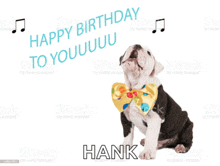 a black and white puppy wearing a yellow bow tie says happy birthday hank