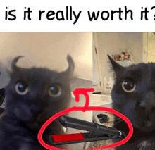 a black cat with horns is looking at a hair straightener hanging on a hanger .